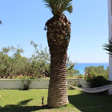 Panorama Studios&Apartments Amoudi Bagian luar foto