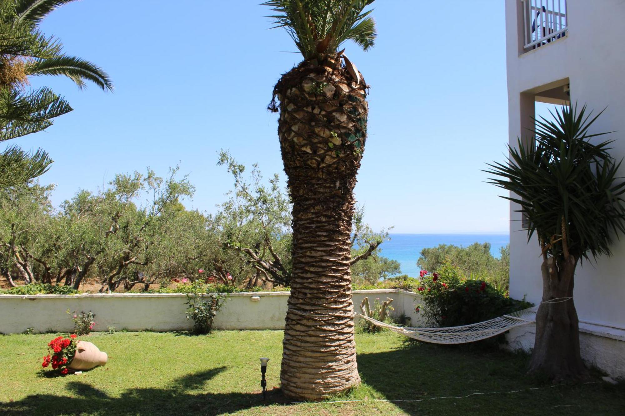 Panorama Studios&Apartments Amoudi Bagian luar foto